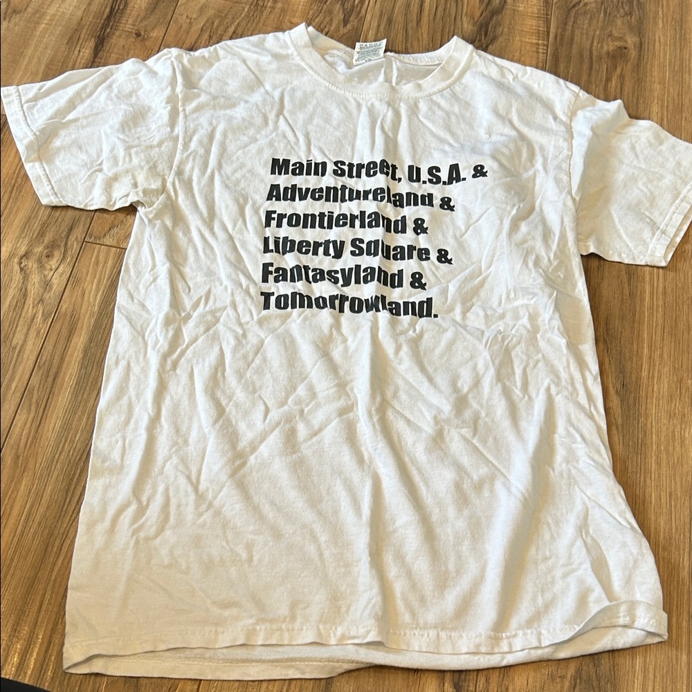 Disney Magic Kingdom Lands shirt